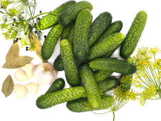 cucumbers and spices on the white background