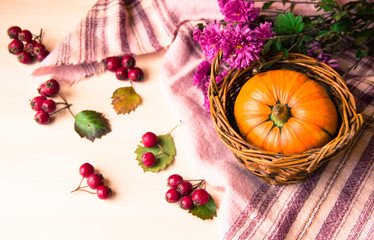 Autumn background with pumpkins in basket, berries and flowers on wooden background, copy space. Happy Thanksgiving Day Background. Halloween pumpkin. Pumpkin for autumn Harvest Festival. Autumn scene