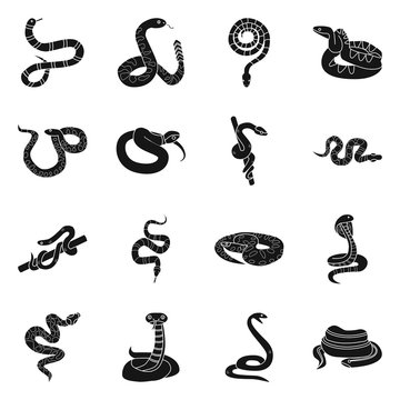 Vector design of snake and creepy logo. Collection of snake and poison stock vector illustration.