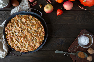 Homemade apple pie on vintage tray, apples, pumpkins and dried leaves on wooden dark brown background.