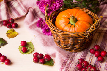 Autumn background with pumpkins in basket, berries and flowers on wooden background, copy space. Happy Thanksgiving Day Background. Halloween pumpkin. Pumpkin for autumn Harvest Festival. Autumn scene
