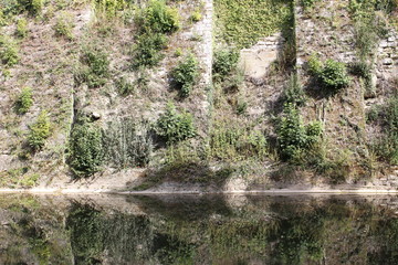 Stone walls with plants reflecting in the water