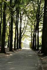 Nature photography of a park.