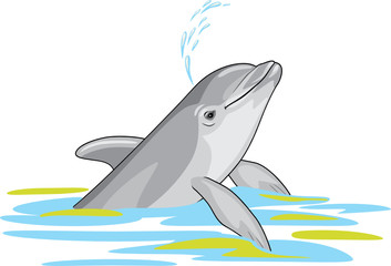 Happy dolphin splashes water