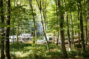 Caravans in woods