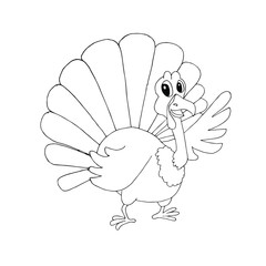 Turkey. Sketch of funny cute cartoons farm bird hand drawn art design stock vector illustration for web, for print, for coloring page