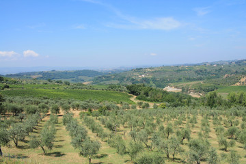 Fototapeta na wymiar The Chianti, a rural region of Tuscany in the provinces of Florence and Siena, Tuscany, Italy