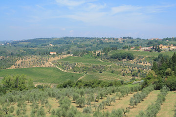 Fototapeta na wymiar The Chianti, a rural region of Tuscany in the provinces of Florence and Siena, Tuscany, Italy