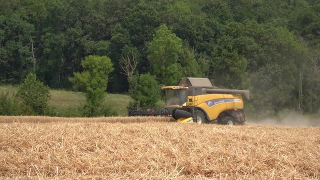 Moissonneuse-batteuse r&eacute;colte dans un champs de bl&eacute; EDITORIAL
