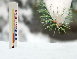 image of thermometer on snow and  fir branch background