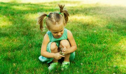 cute little girl collects clover on a background of green grass
