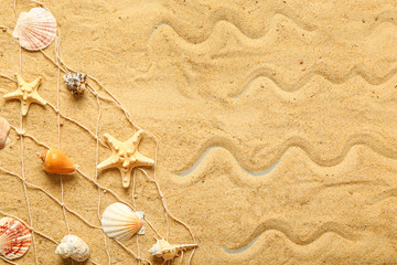 Fototapeta na wymiar Summer composition with seashells on beach sand