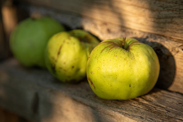 tree green apples on wooden background