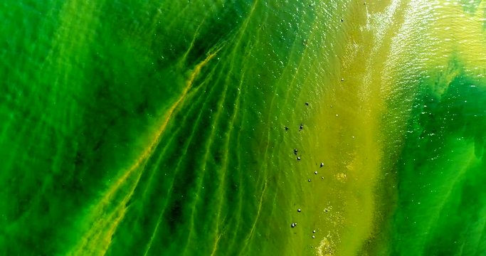 Surface Accumulations With Blue-green Algae Concentrations In The Baltic Sea
