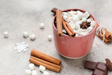 Cup of hot chocolate with marshmallows and cinnamon on light background