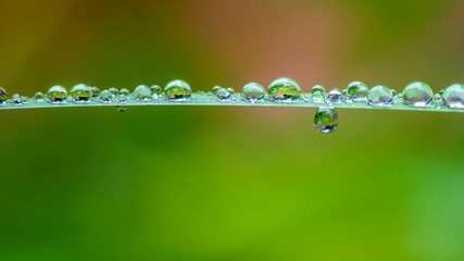 A close image of a water drop in raining weather