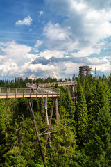 Bachledova dolina treetop walk, Slovakia, Europe © radu79