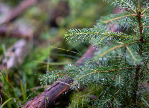 Wassertropfen