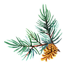 Hand drawn  watercolor illustration of pine branch with cone isolated on white background. Holiday design for greeting cards, calendars, posters, prints, invitations.