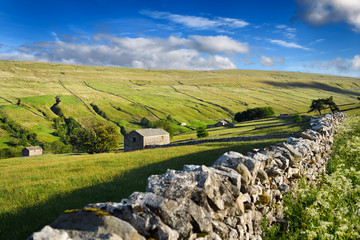 Sunset on green pastures of Walden Beck valley at Walden Yorkshire Dales National Park with...