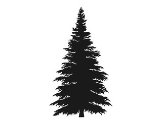 fir tree silhouette. Christmas and New Year design element