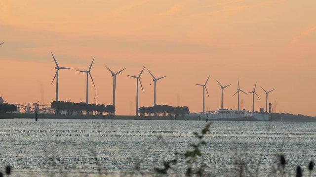 Many wind power turbines in twilight near Rotterdam, Maassluis, Nieuwe Waterweg, The Netherlands