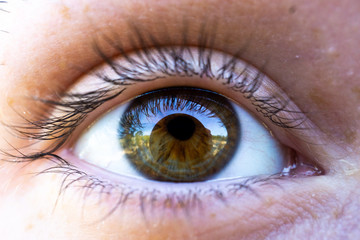 Fototapeta premium eyeball macro