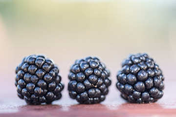 Selection fruits of the forest