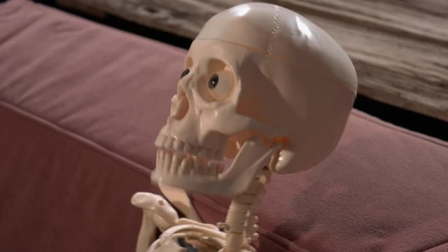 Halloween jiggle scary human skeleton, skull twitch spooky backdrop