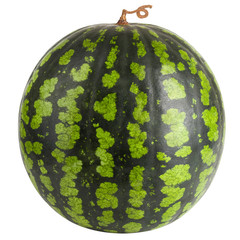 watermelon isolated on white background, clipping path, full depth of field