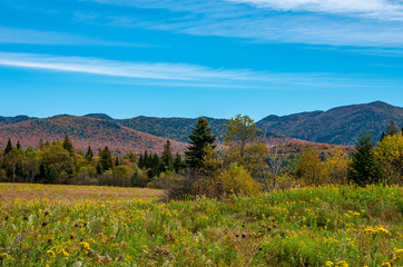 Fall foliage in the Adirondack Mountains