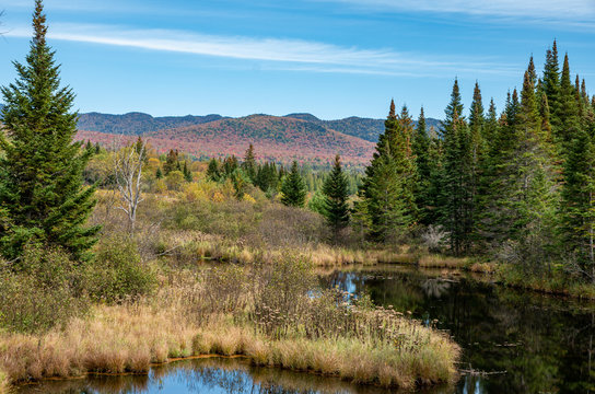 Fall foliage in the Adirondack Mountains