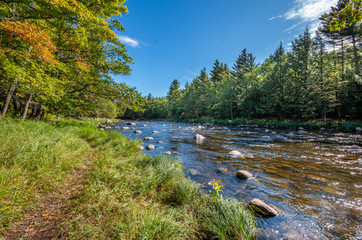 Fall foliage in the Adirondack Mountains