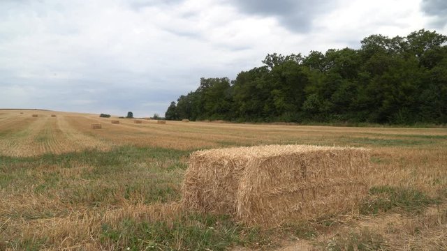 Un balle de paille apr&egrave;s moisson au premier plan et plusieurs balles de bl&eacute; sur le champs en attendant d'&ecirc;tre charg&eacute; pour un stockage
