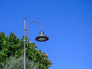Street lamp on a background of blue sky and ficus leaves
