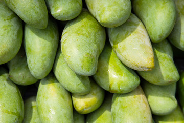 Fresh green mango pile on the fruit market stall. Bunch of tropical fruits. Ripe mango. Sweet dessert or raw vegetarian food