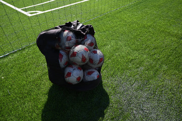 borsa di palloni di cuoio su di un campo di erba sintetica