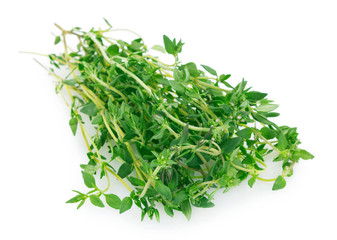 Fresh thyme on white background