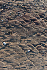 Background of sand, rocks, shells and texture