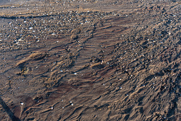 Background of sand, rocks, shells and texture