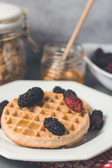 Healthy breakfast with waffle, blackberries, milk, honey and cereals. Morning concept..