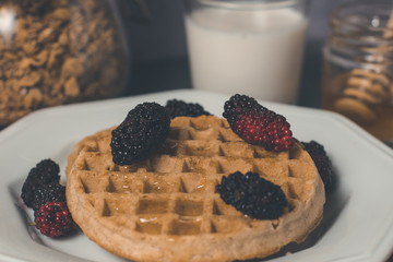 Healthy breakfast with waffle, blackberries, milk, honey and cereals. Morning concept..