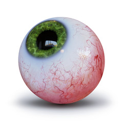 realistic human eyeball with green iris isolated whit shadow on white background 