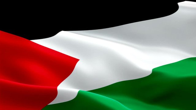 Palestine waving flag. National 3d Palestinian  flag waving. Sign of Palestine seamless loop animation. Palestinian  flag HD resolution Background. Palestine flag Closeup 1080p Full HD video for prese