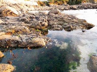 view of beach with rocks