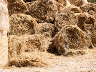  round pressed straw bales for animal feed