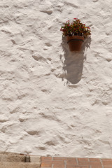 Potted flower on rough wall