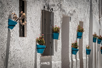 Potted flowers hanging near windows - 292781729