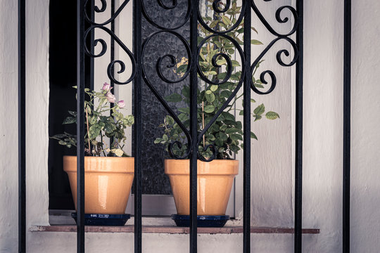 Potted flowers on window behind grating
