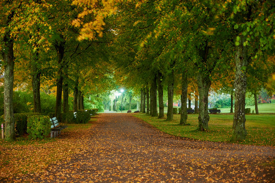  Footpath at Junibacken on Djurg&aring;rden a fine autumn night